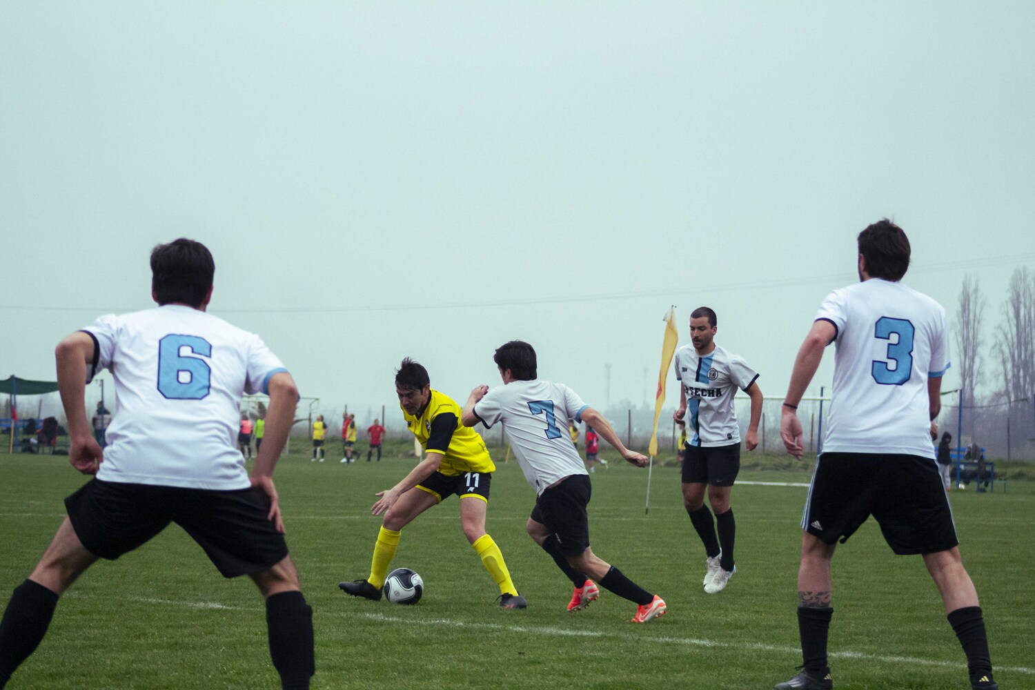 _MG_9122.jpg