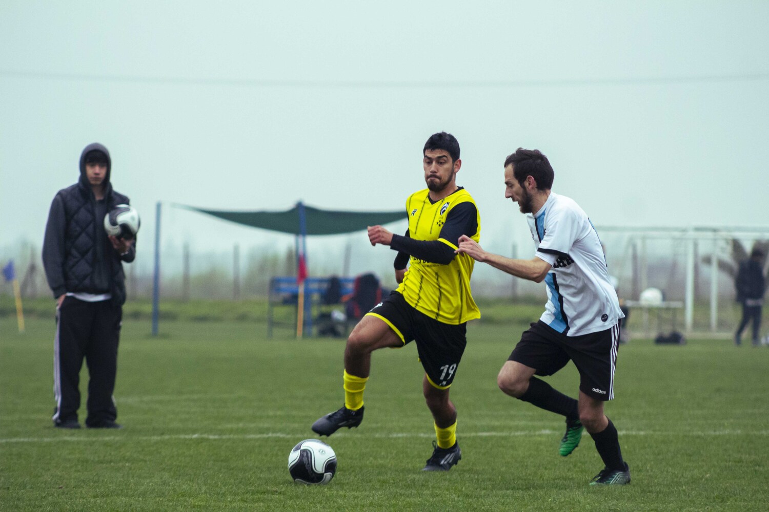 _MG_9126.jpg