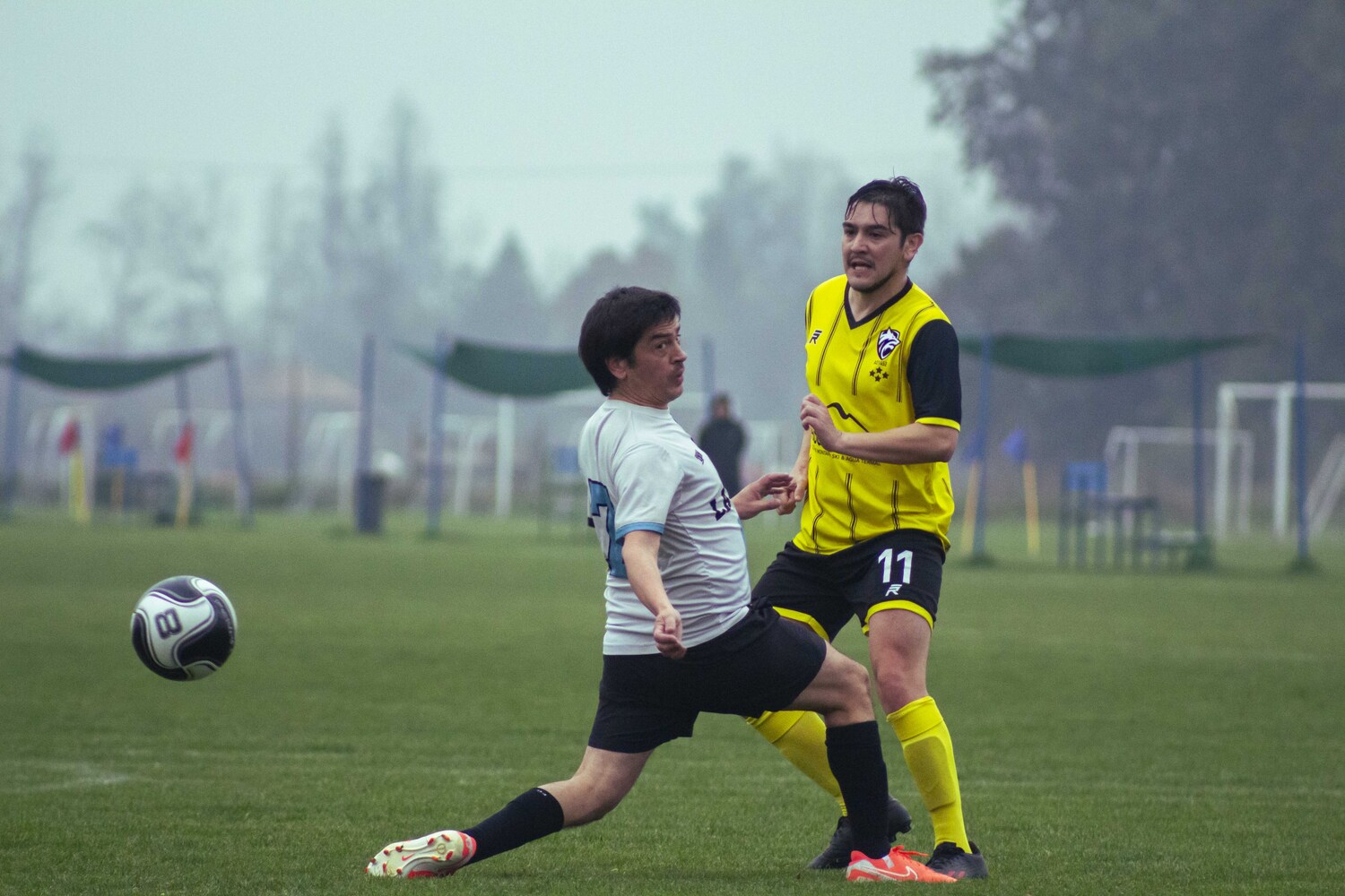 _MG_9133.jpg