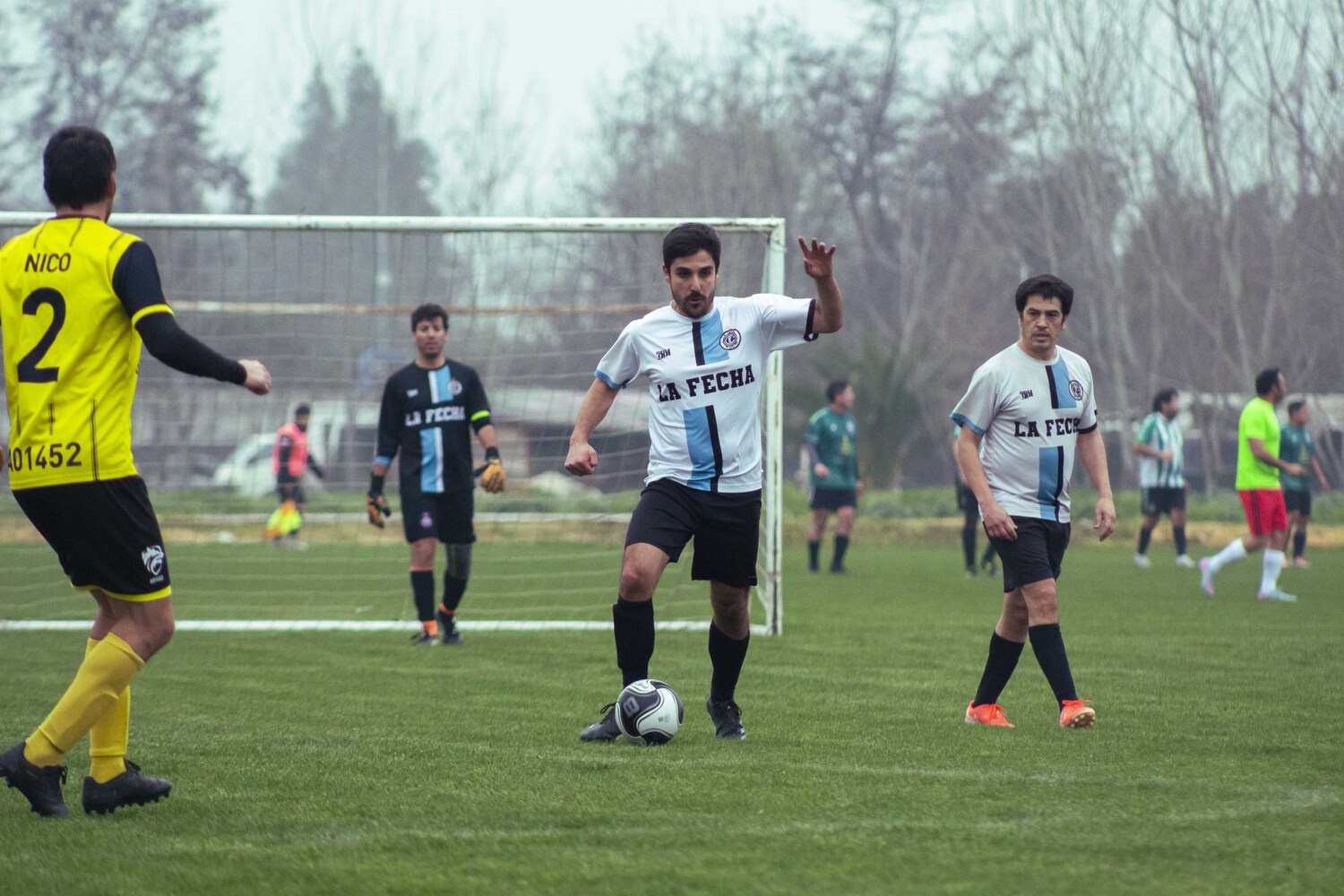 _MG_9144.jpg