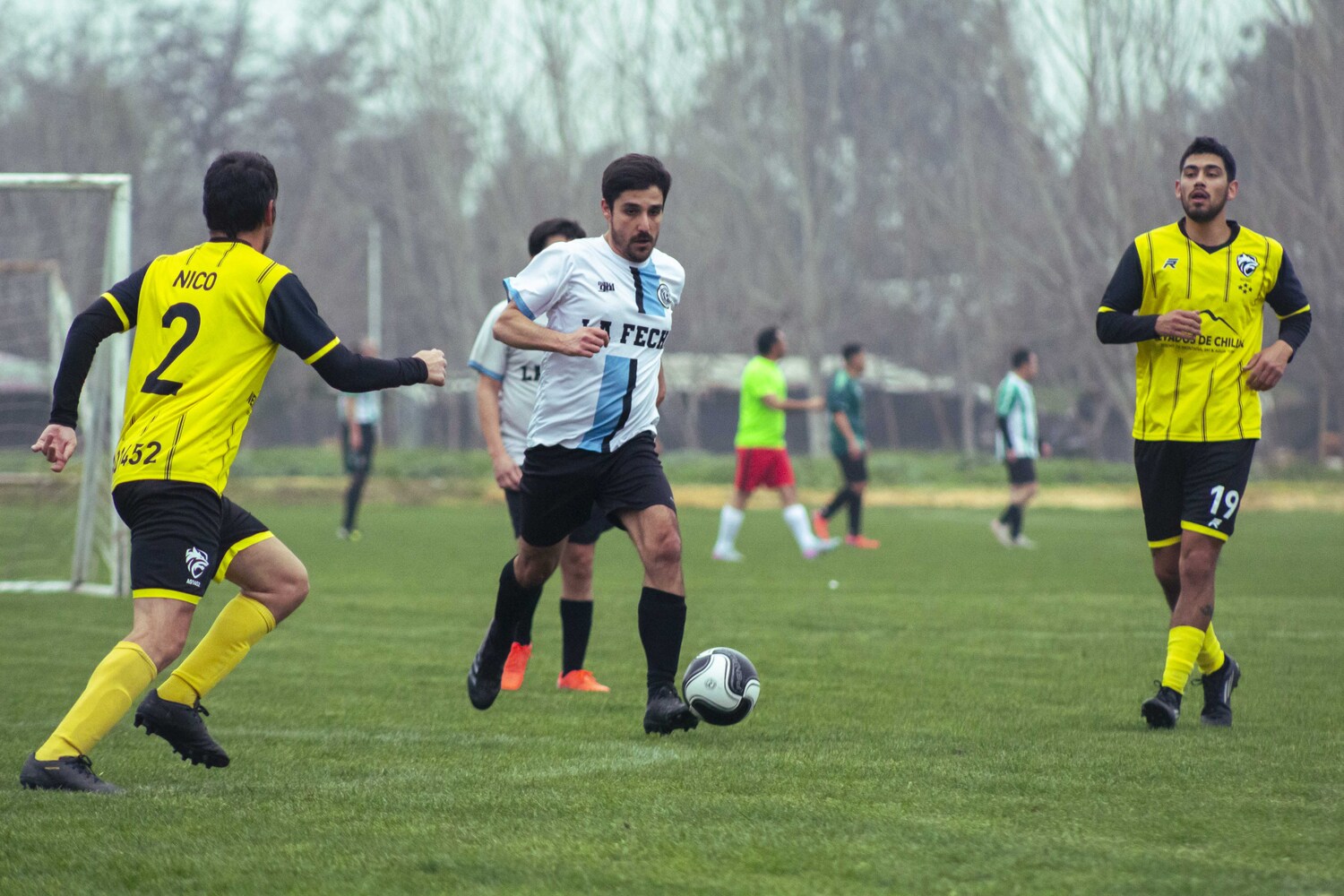 _MG_9145.jpg