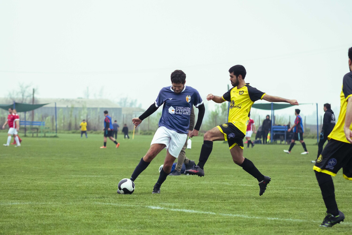 _MG_9229.jpg