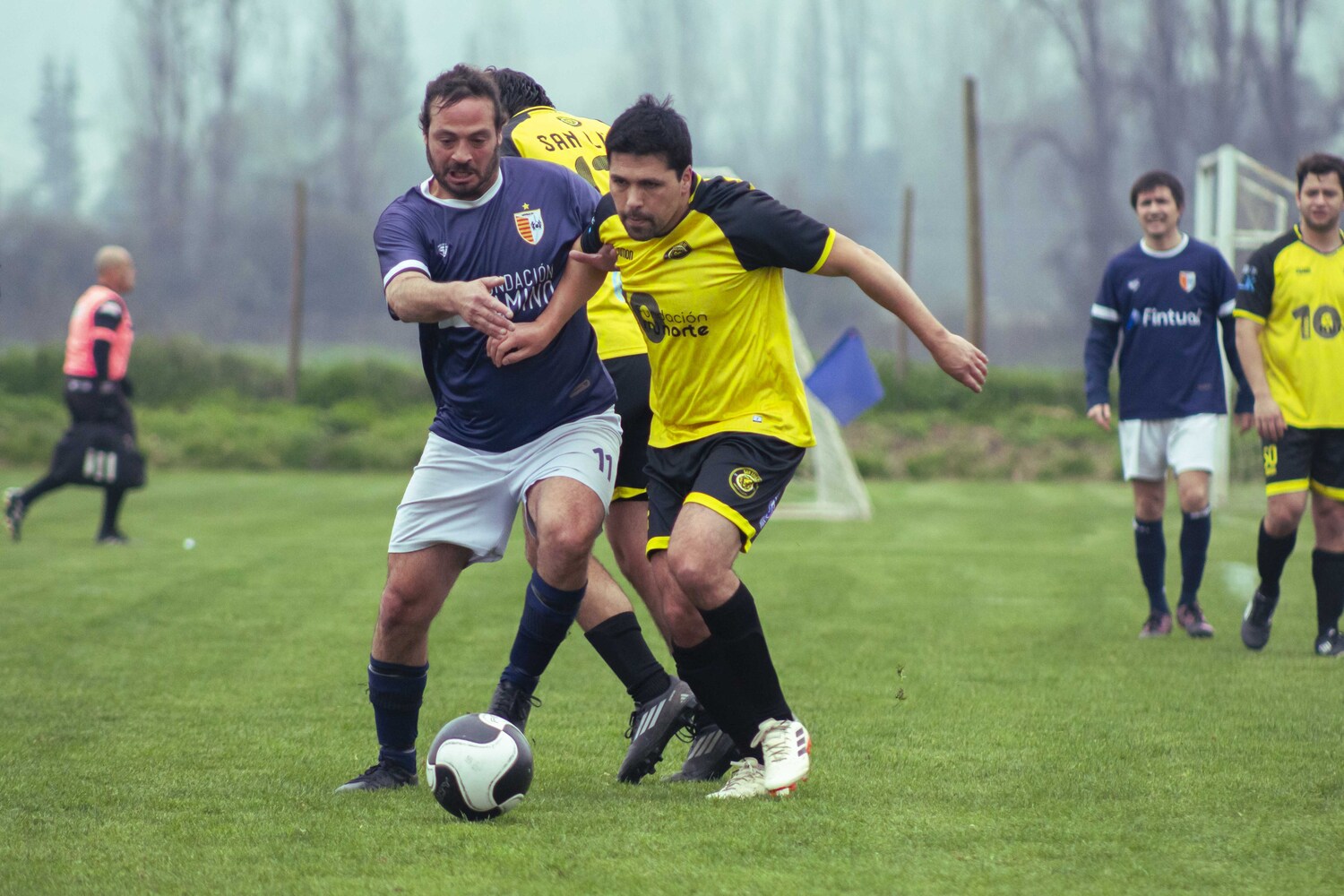 _MG_9233.jpg