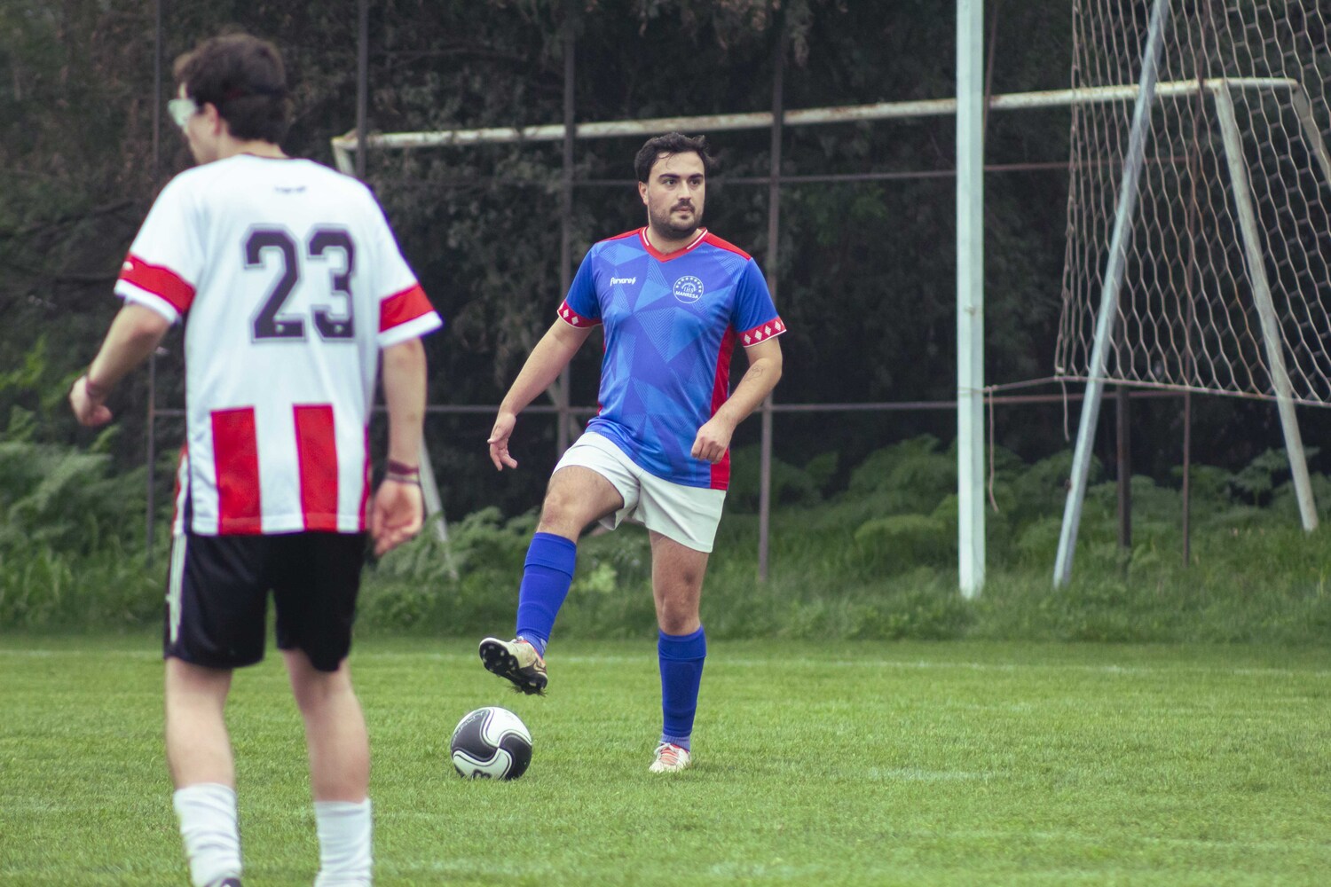 _MG_9239.jpg