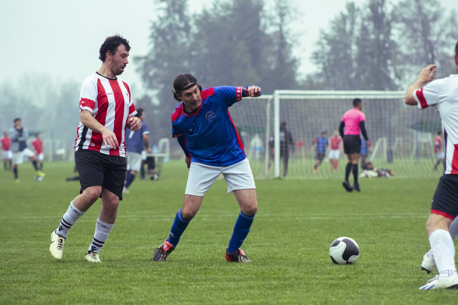 _MG_9249.jpg