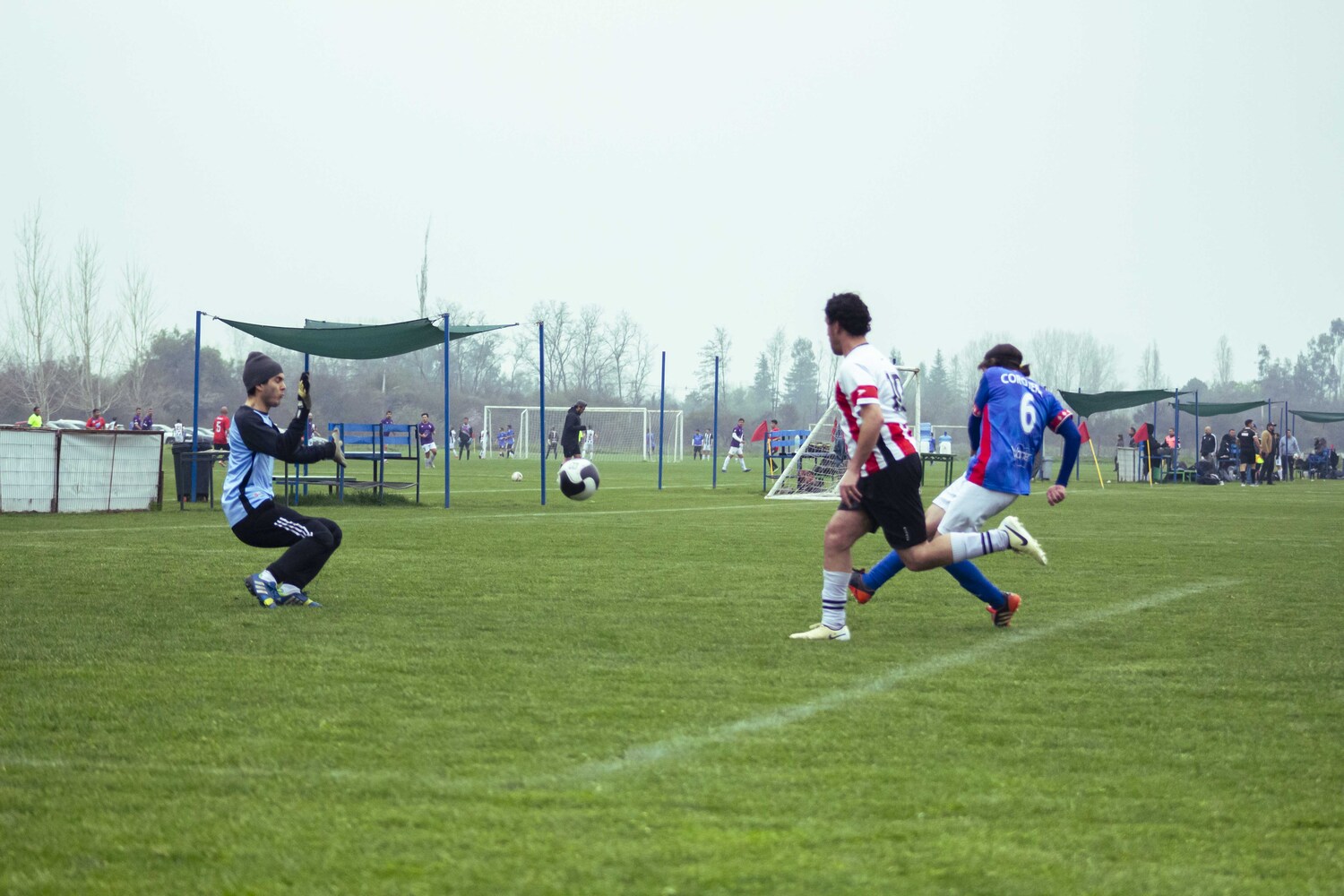 _MG_9251.jpg