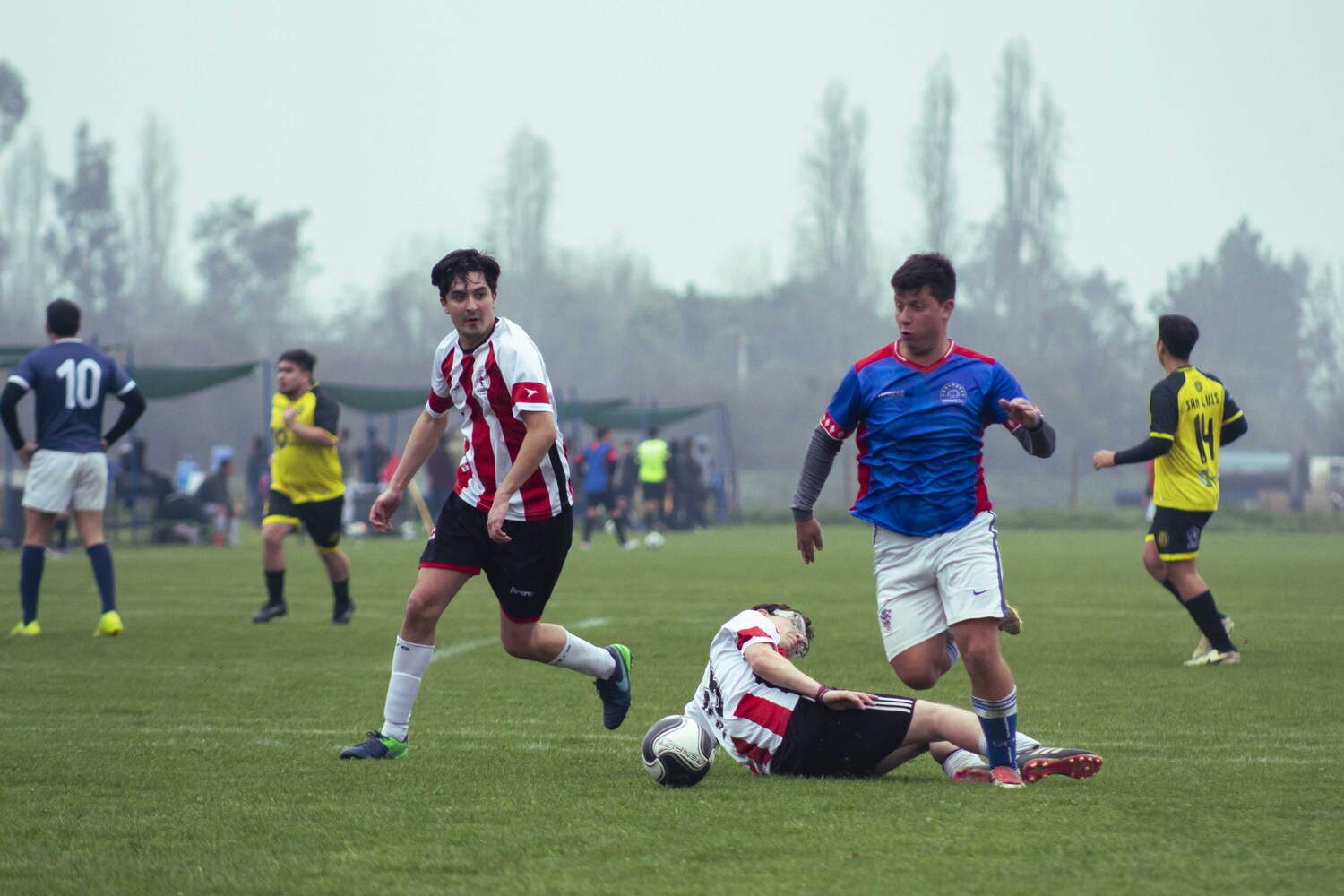 _MG_9255.jpg