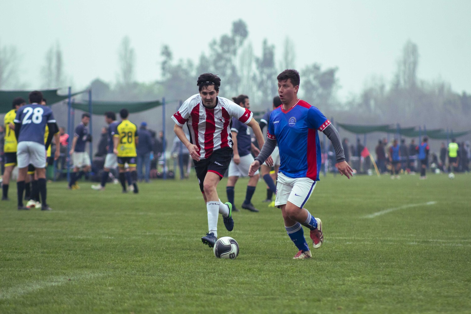 _MG_9256.jpg