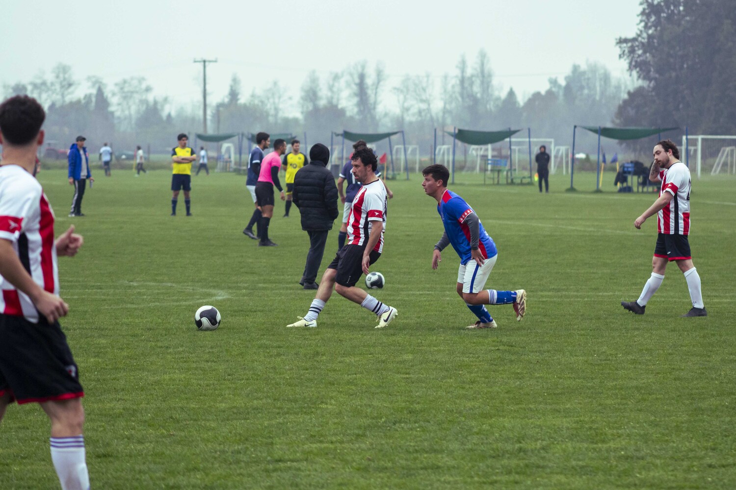 _MG_9259.jpg
