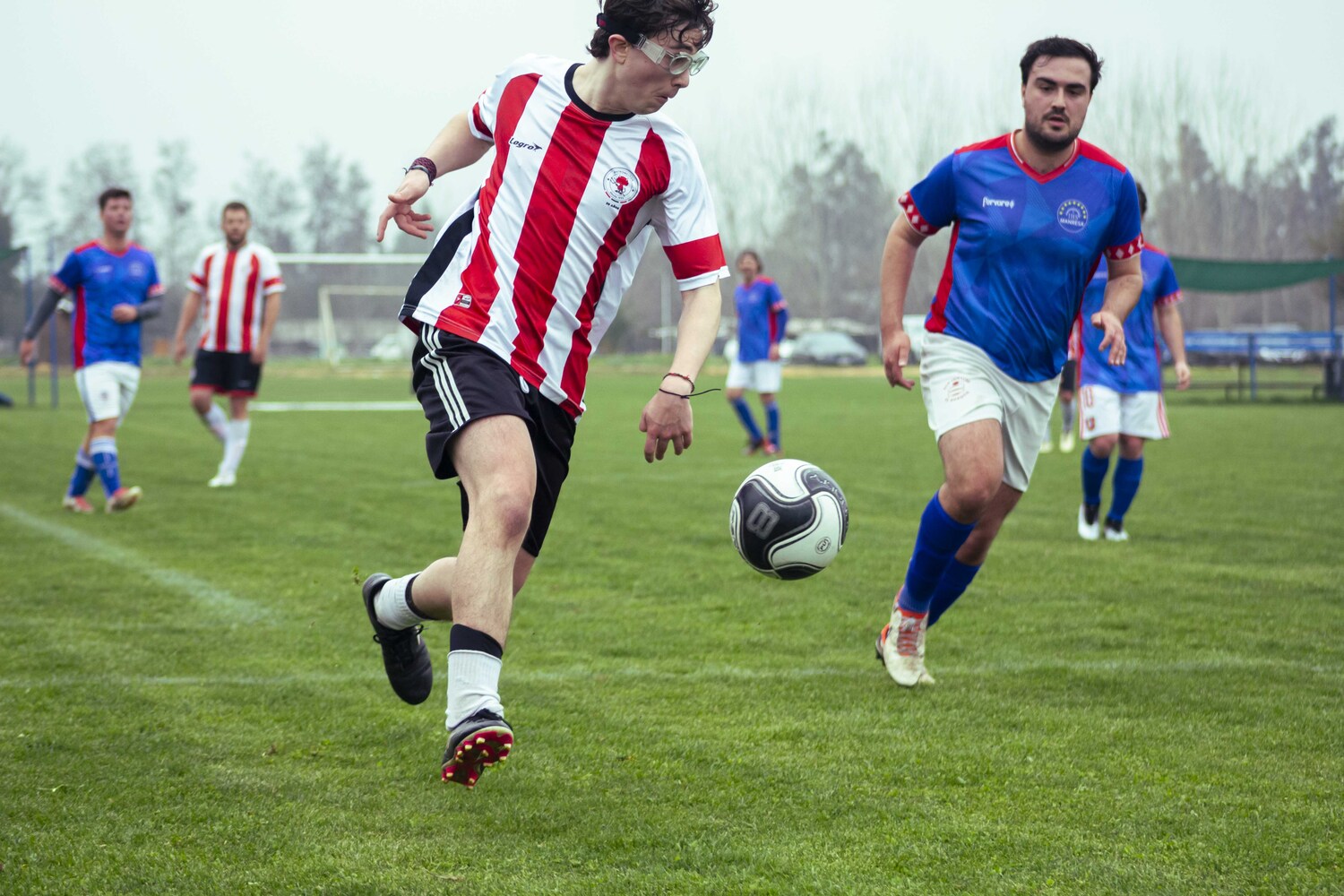 _MG_9265.jpg