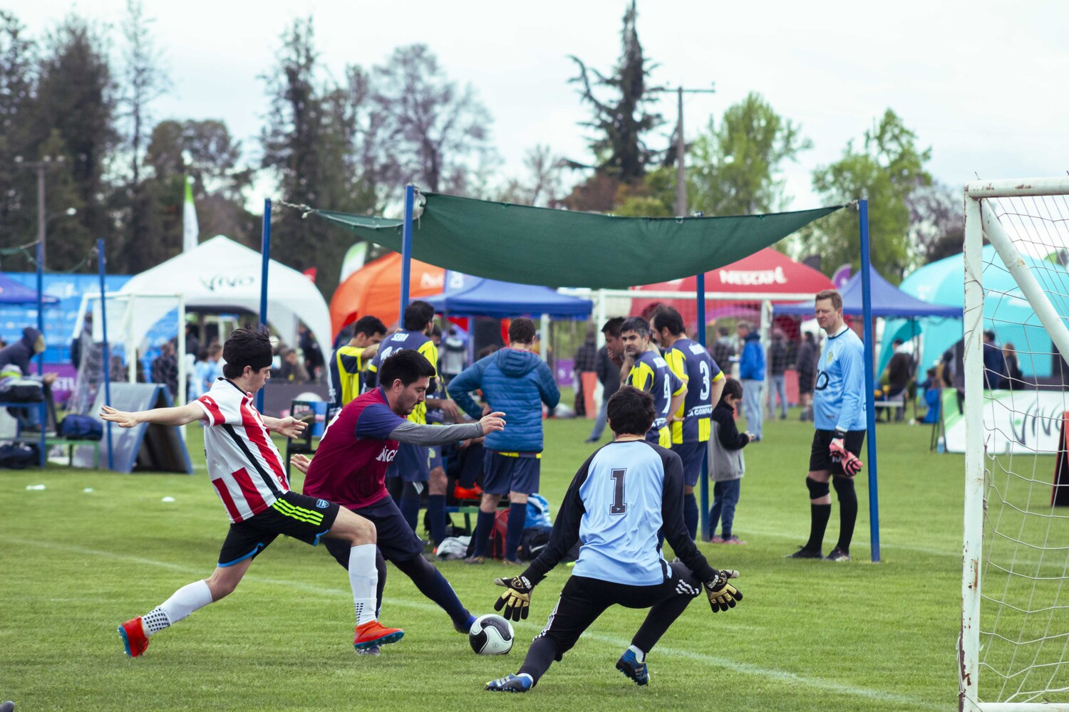 _MG_0015.jpg