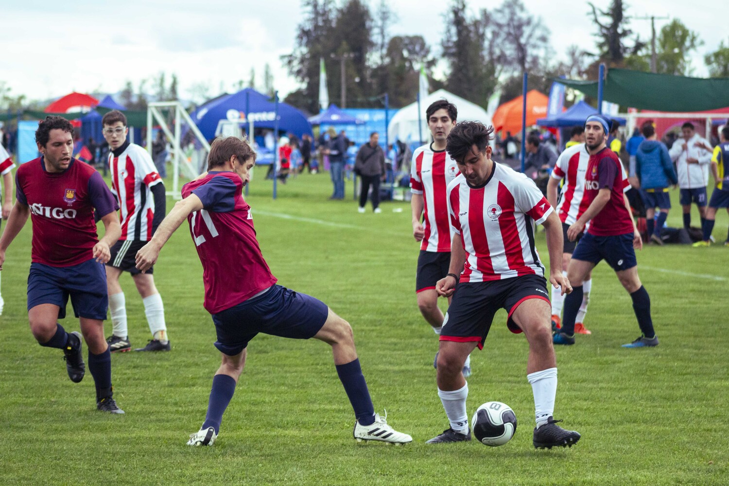_MG_0017.jpg