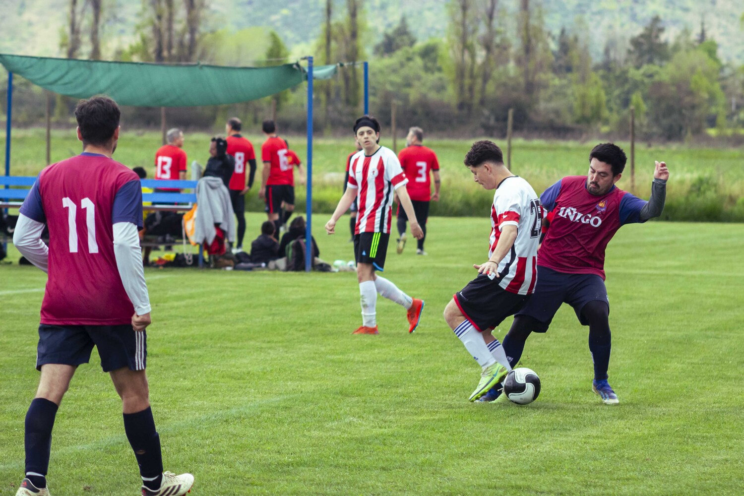 _MG_0020.jpg