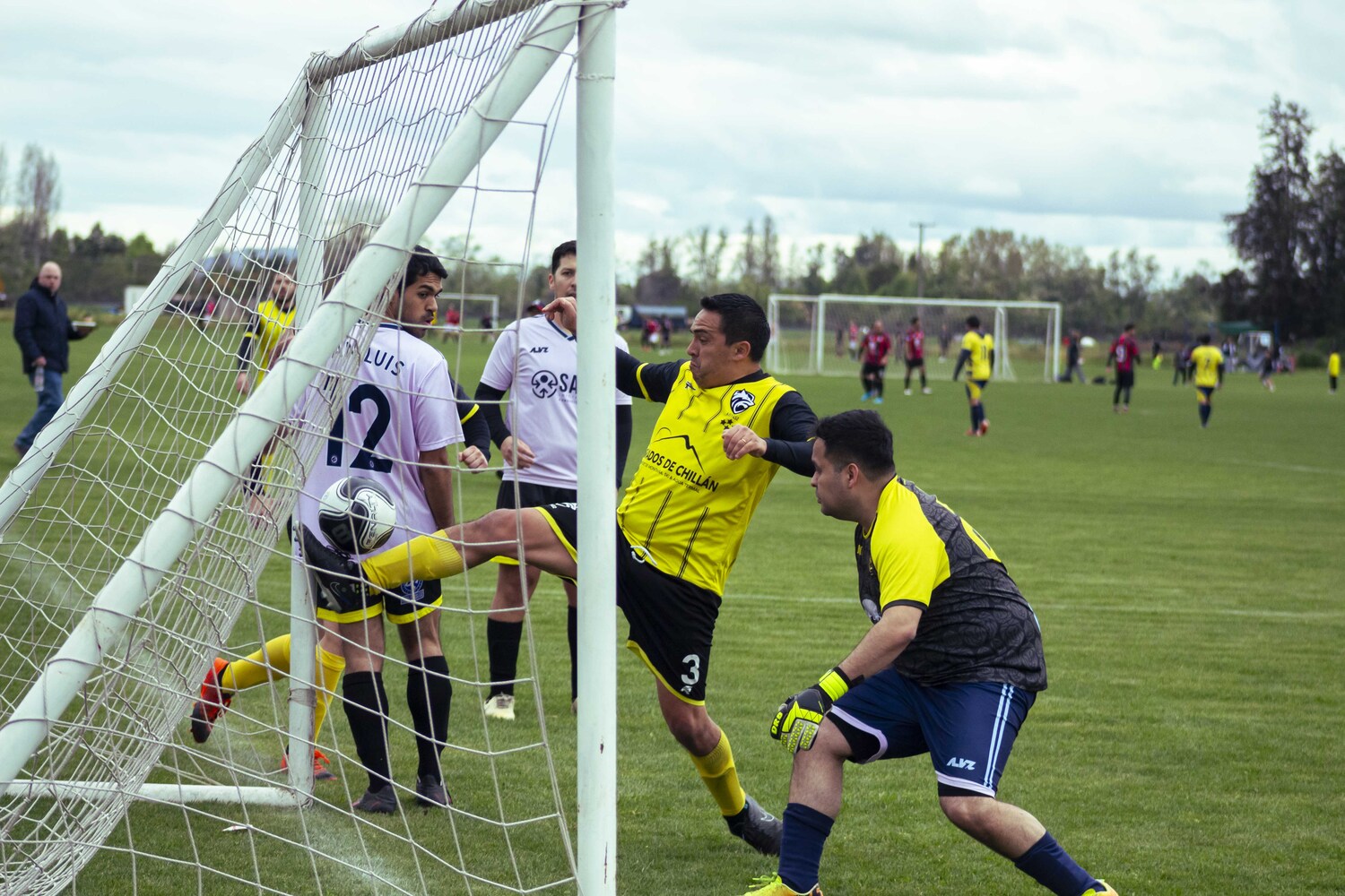 _MG_0050.jpg