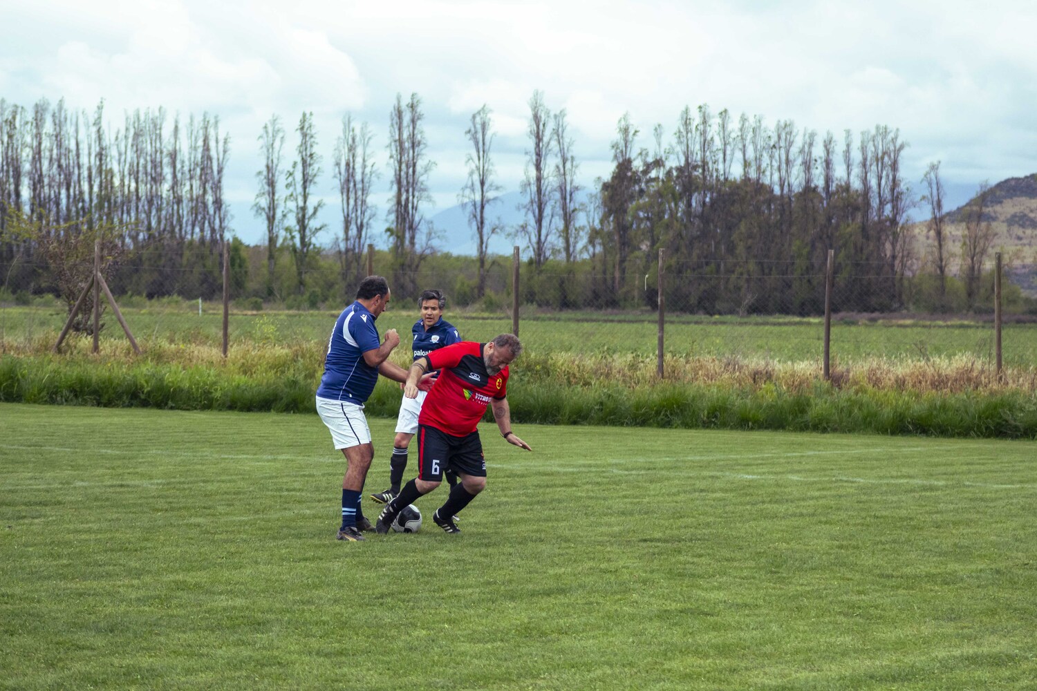 _MG_0087.jpg