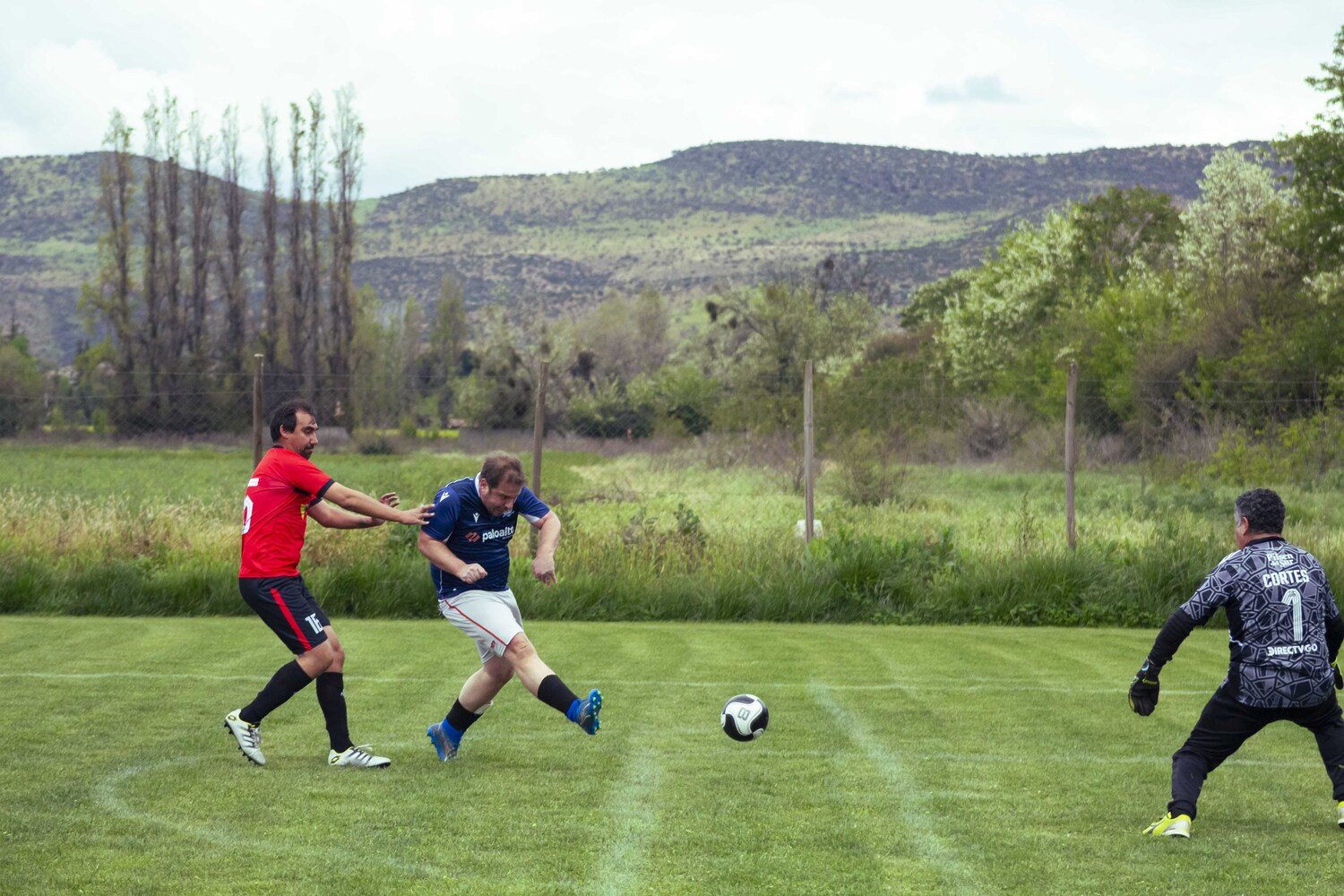 _MG_0088.jpg