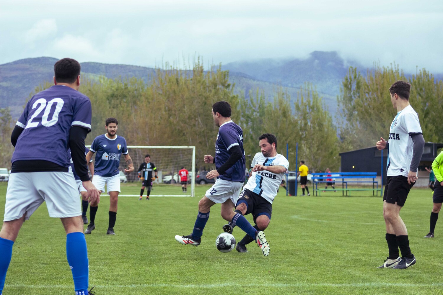 _MG_0117.jpg