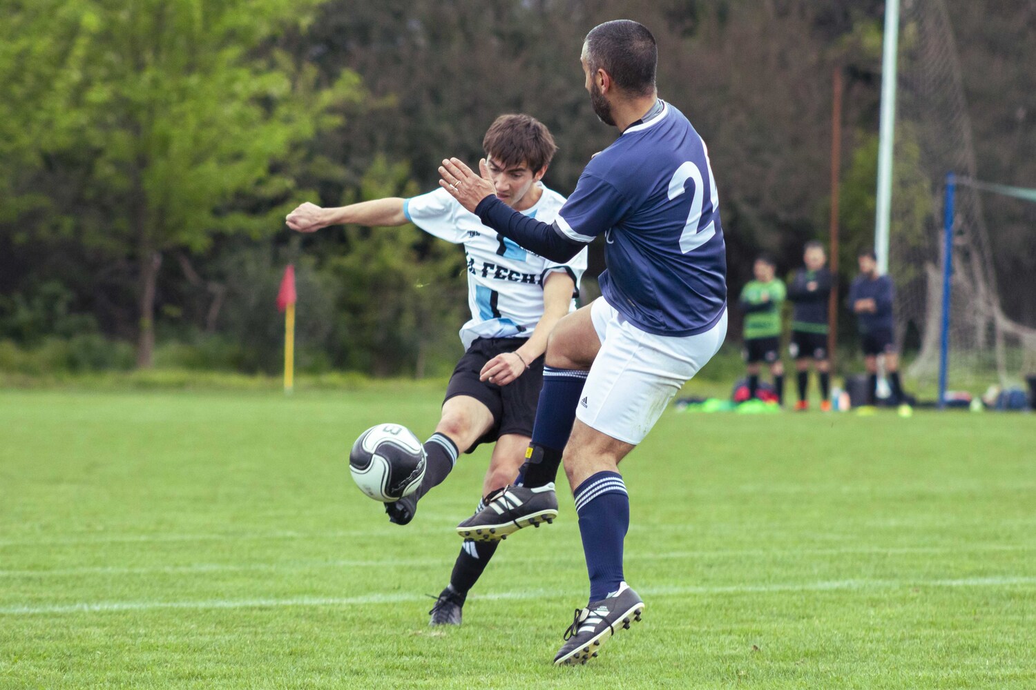 _MG_0118.jpg