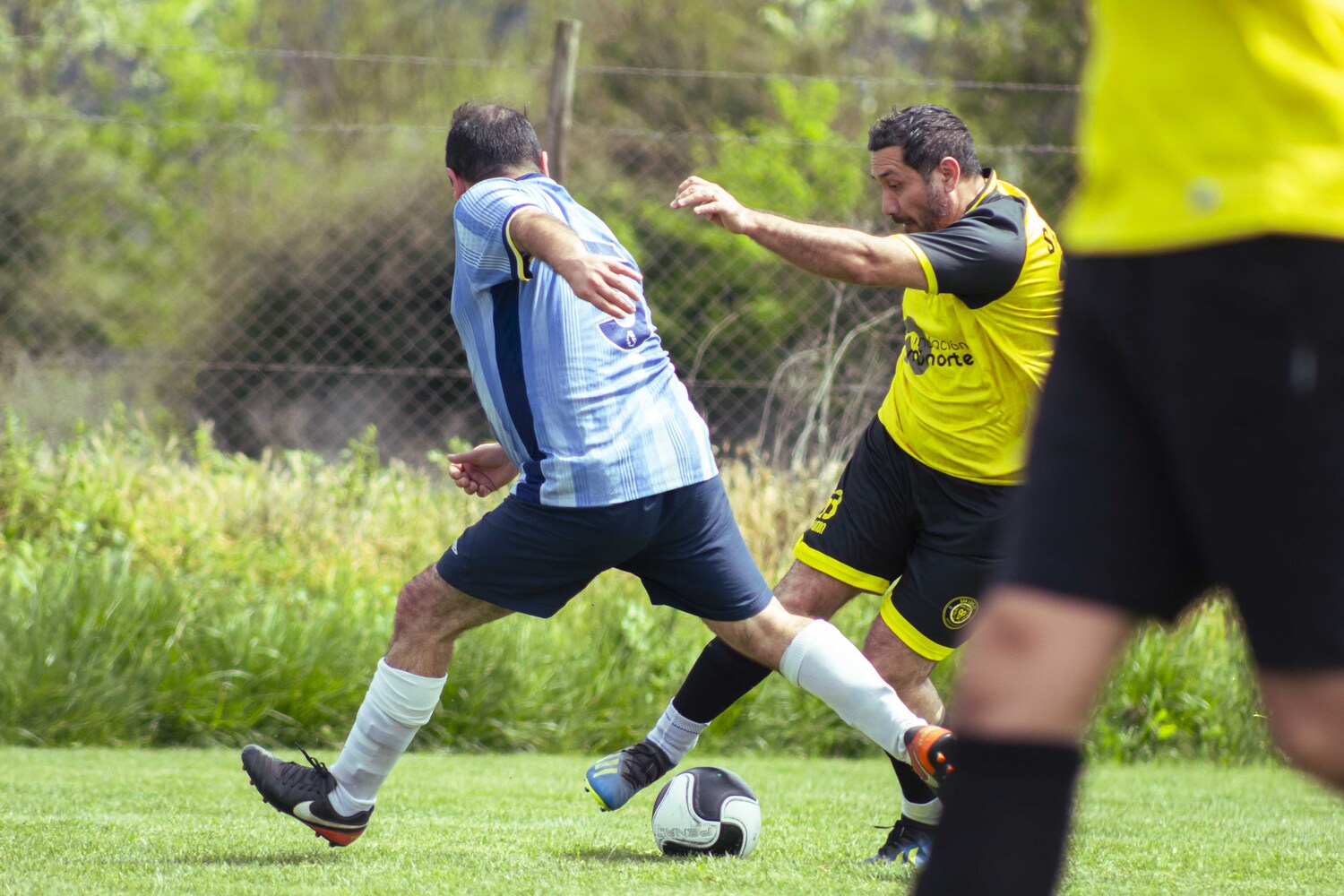 _MG_0221.jpg