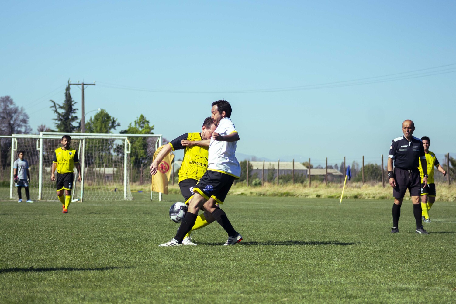 _MG_0274.jpg