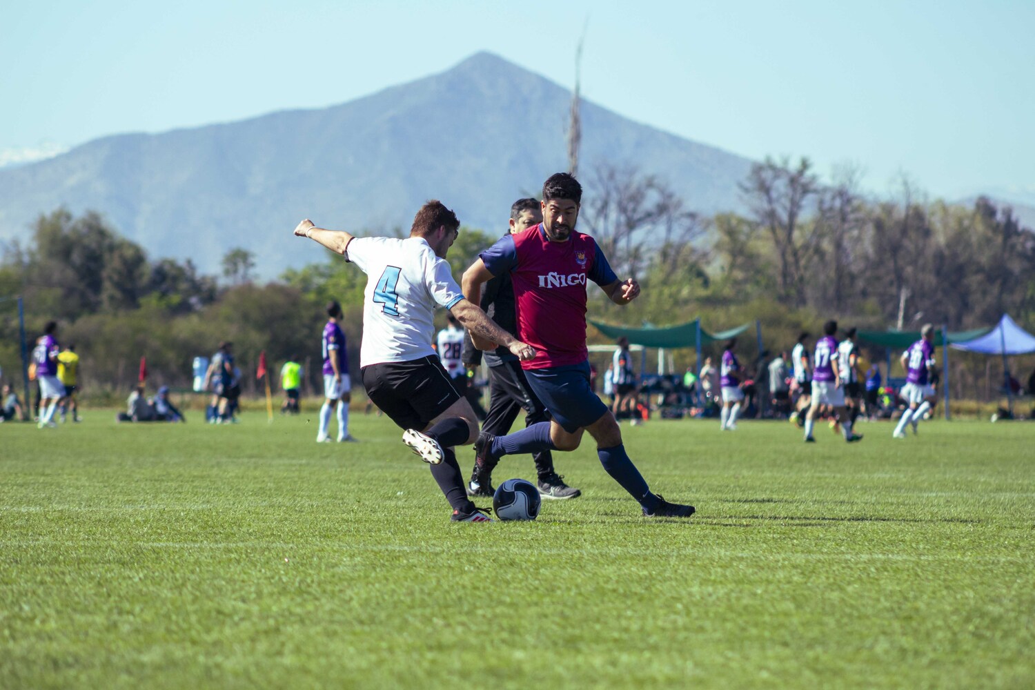 _MG_0302.jpg