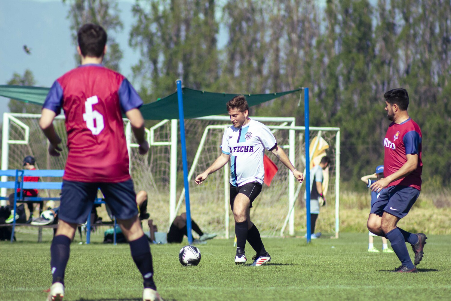 _MG_0317.jpg