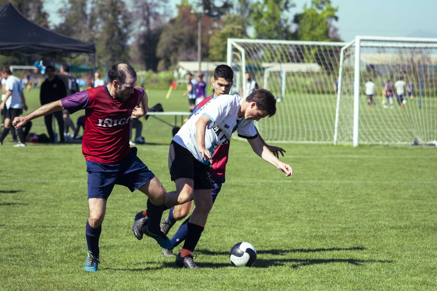 _MG_0327.jpg