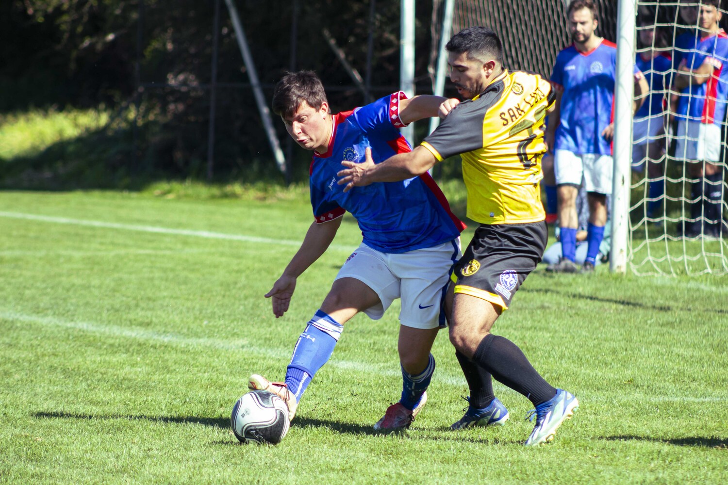 _MG_0342.jpg