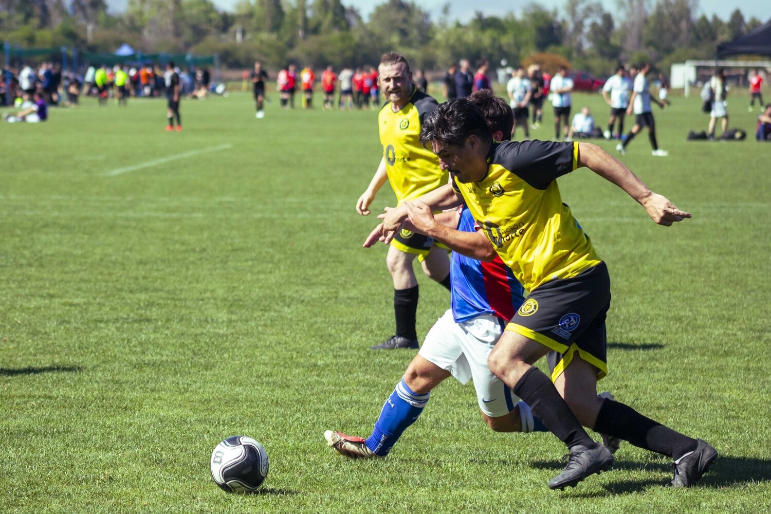 _MG_0355.jpg