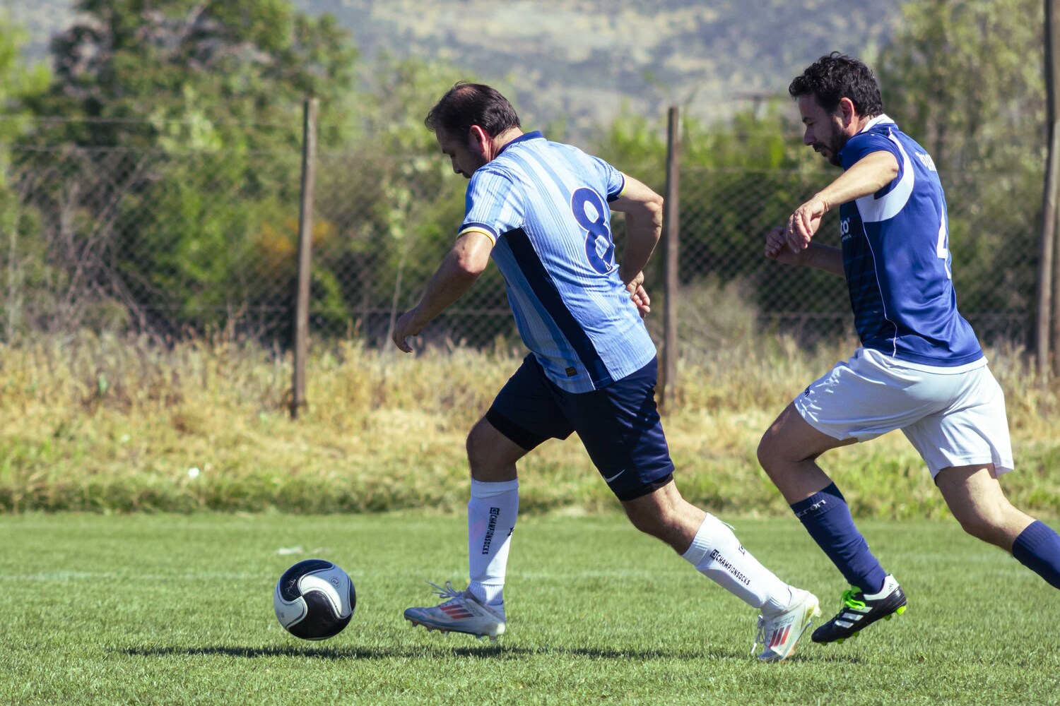 _MG_0387.jpg