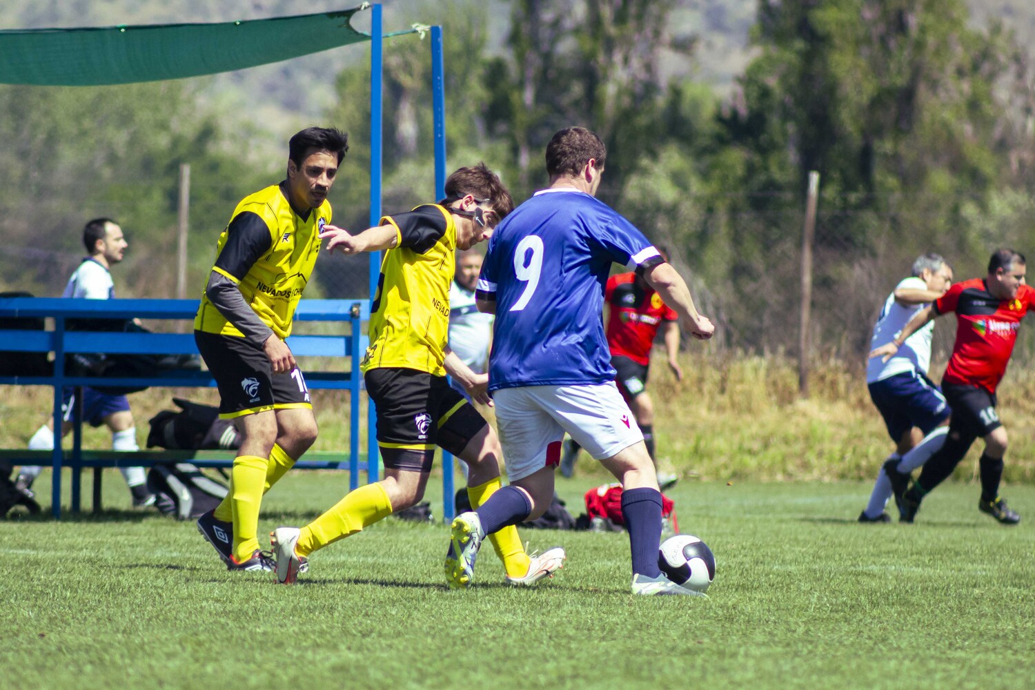_MG_0439.jpg