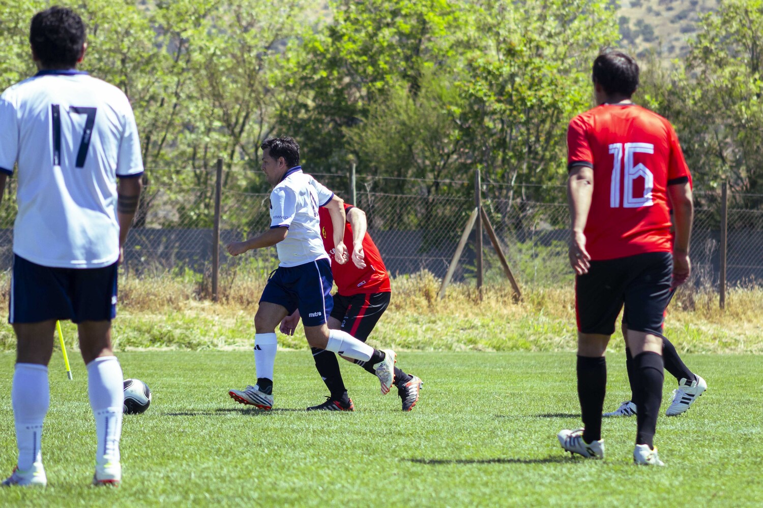 _MG_0489.jpg