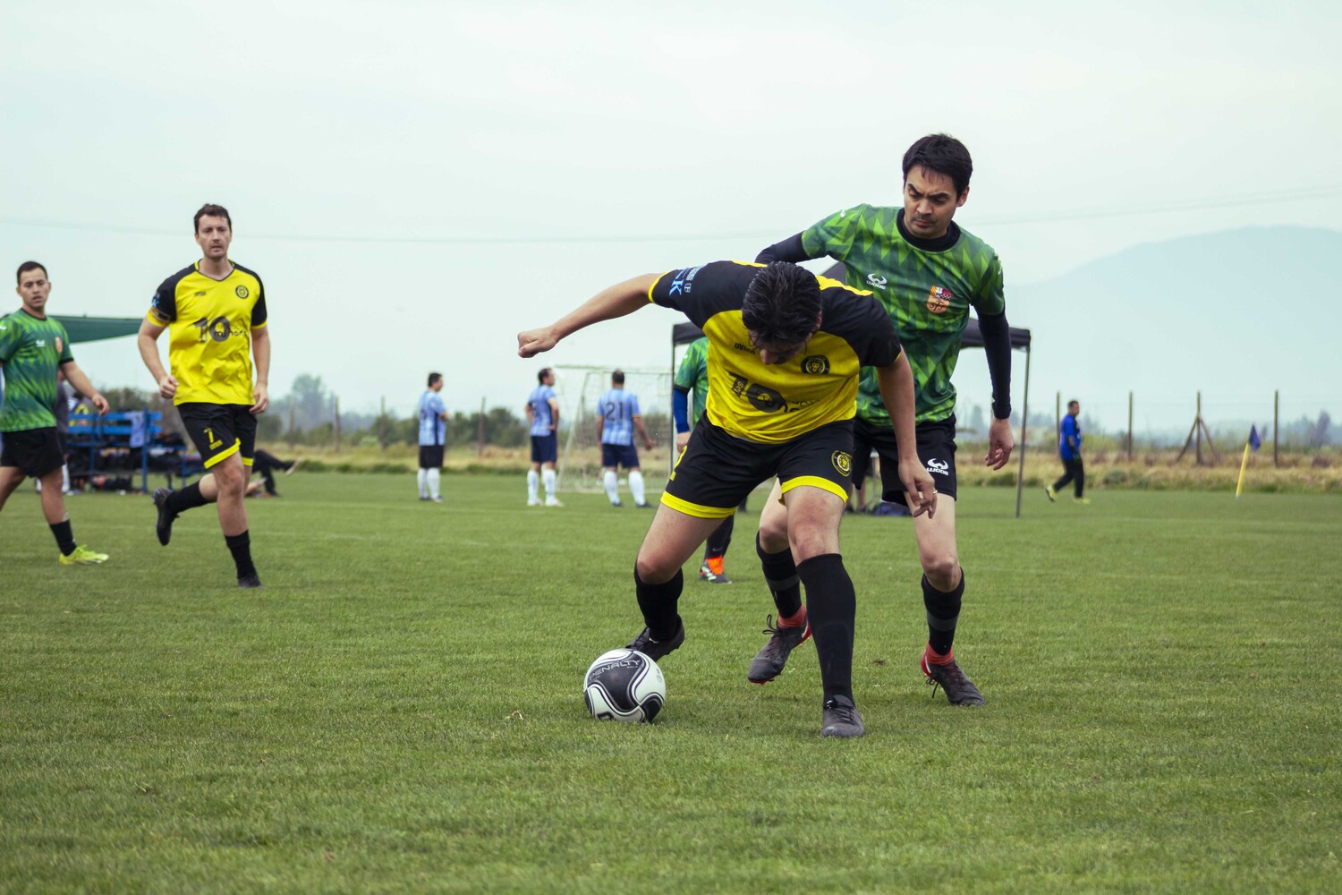 _MG_0806.jpg