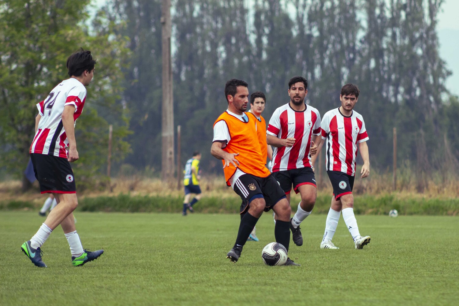_MG_0833.jpg