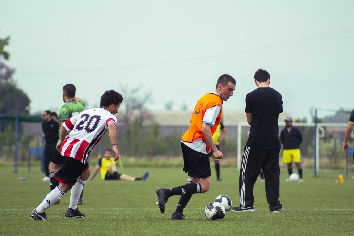 _MG_0835.jpg