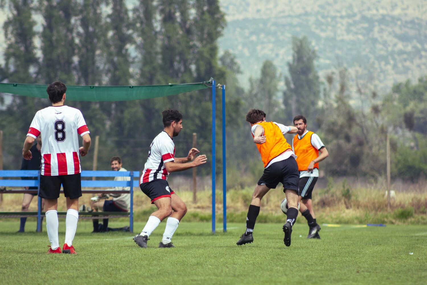 _MG_0838.jpg