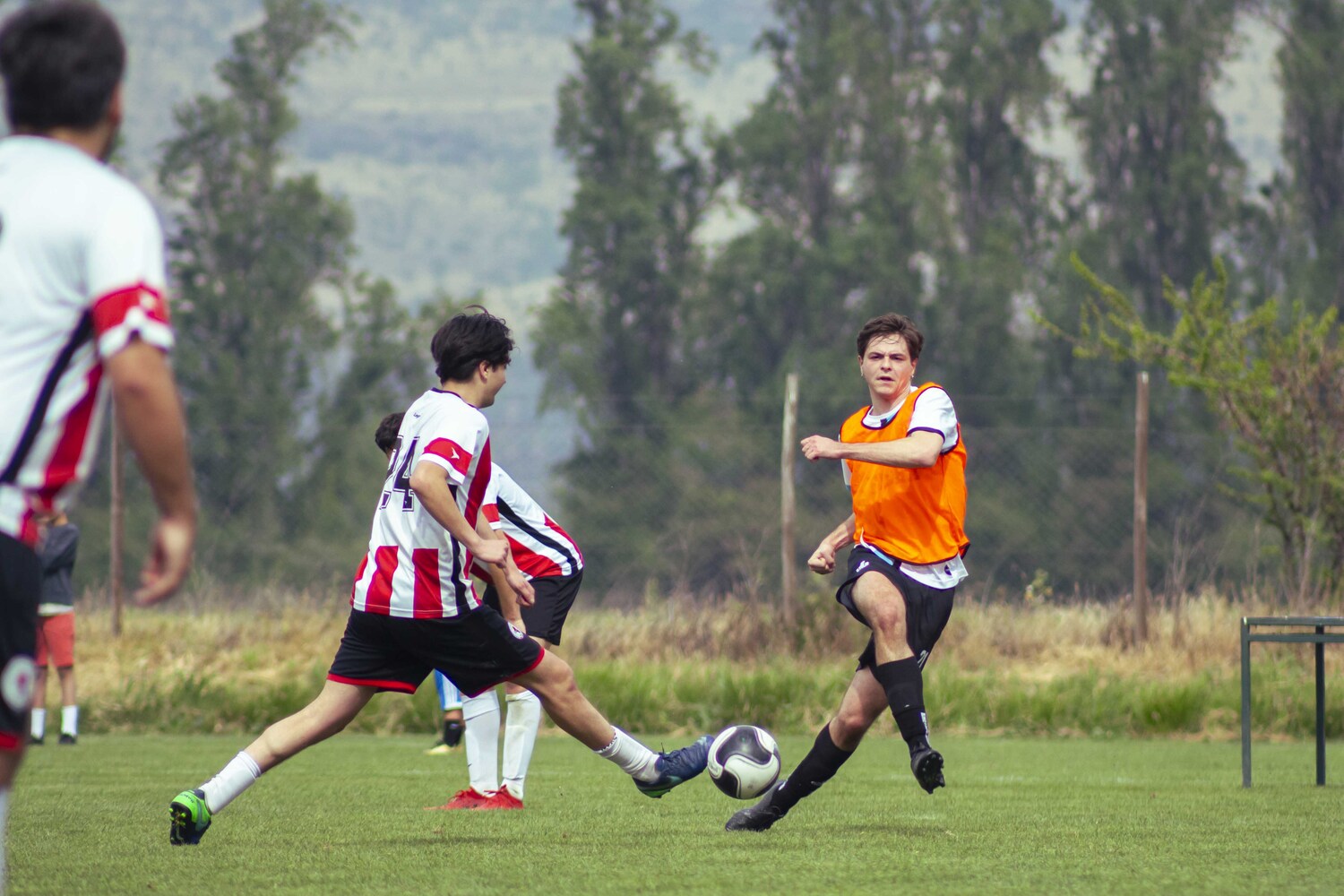 _MG_0839.jpg