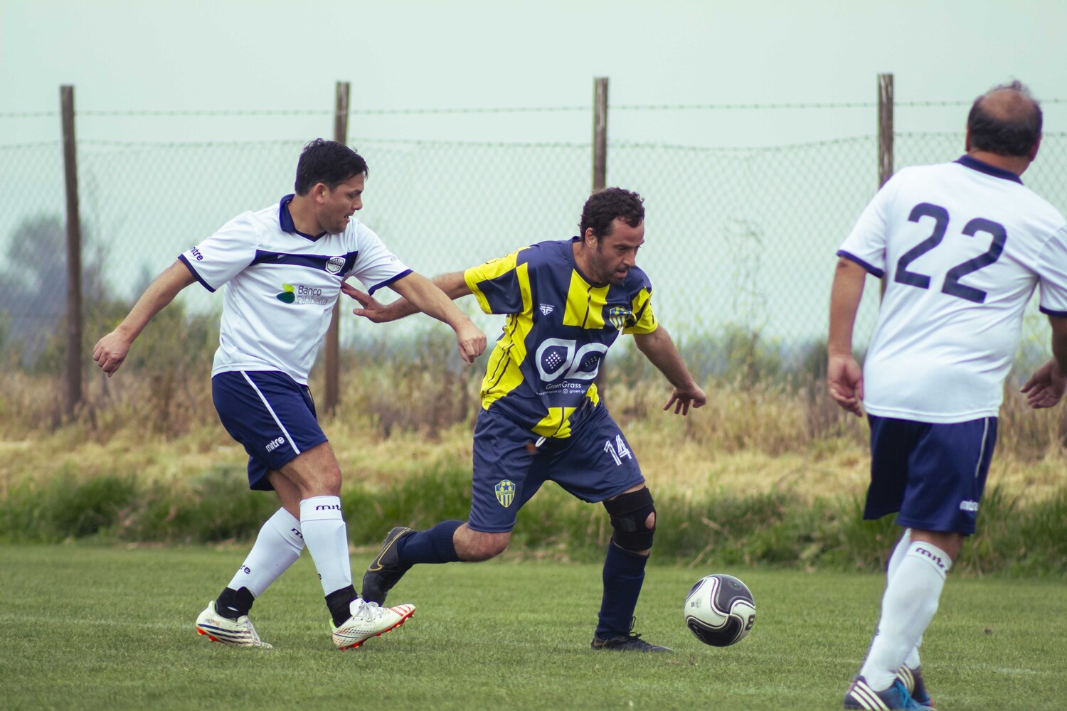 _MG_0864.jpg