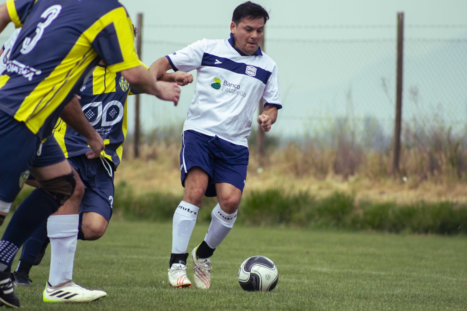 _MG_0870.jpg