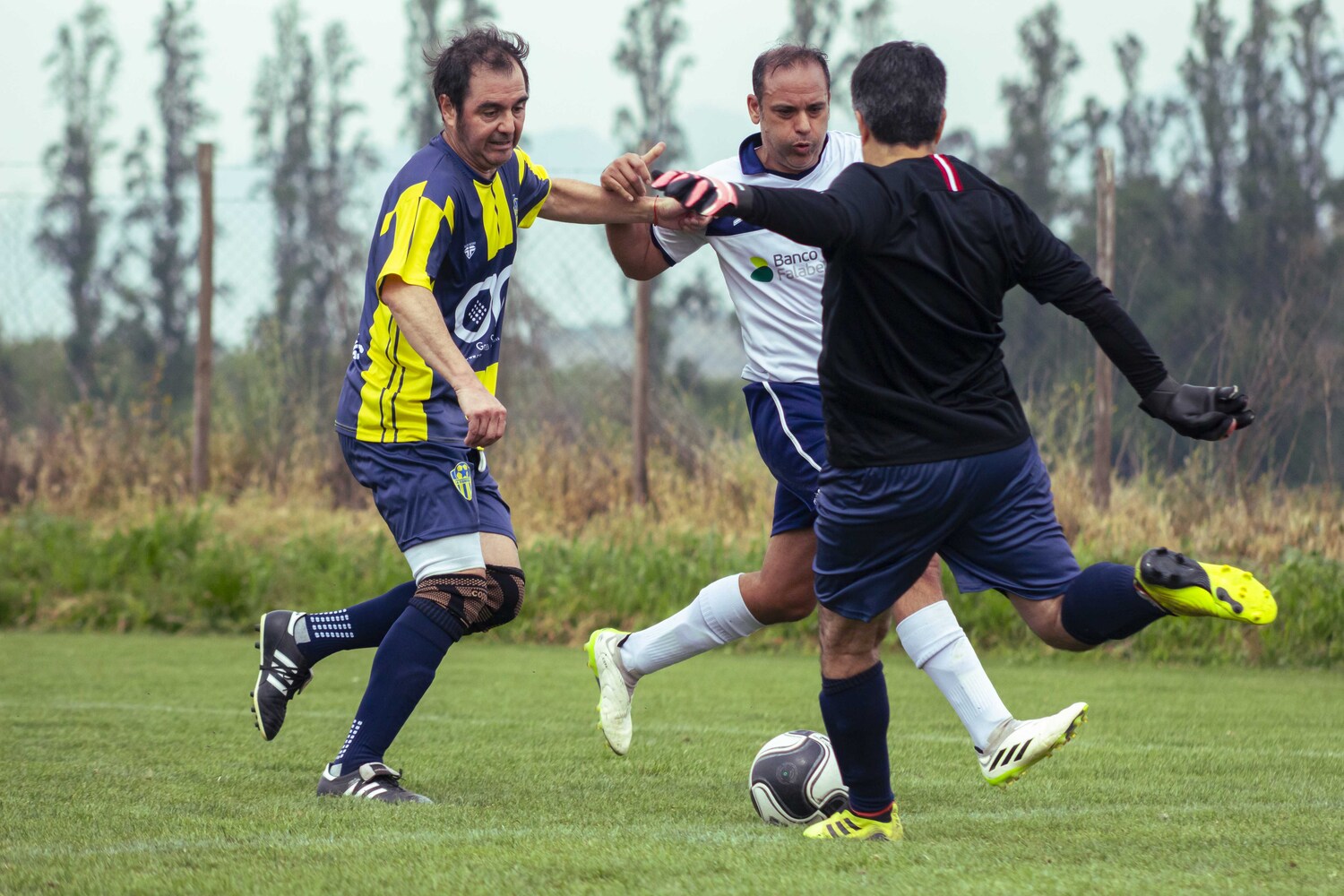 _MG_0871.jpg