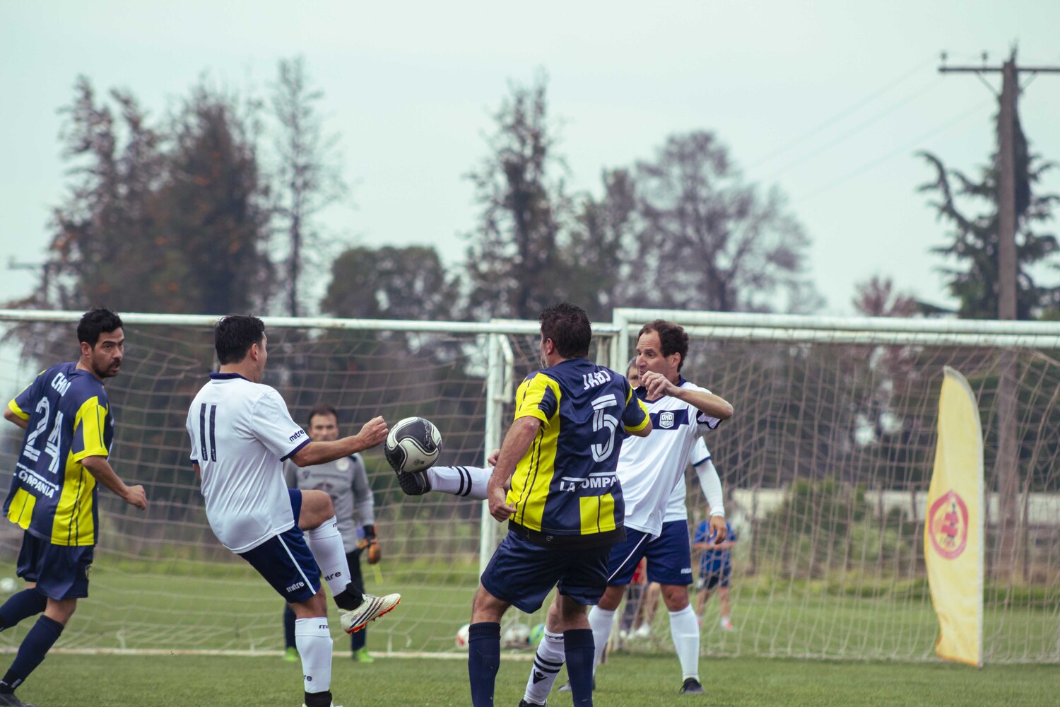 _MG_0874.jpg