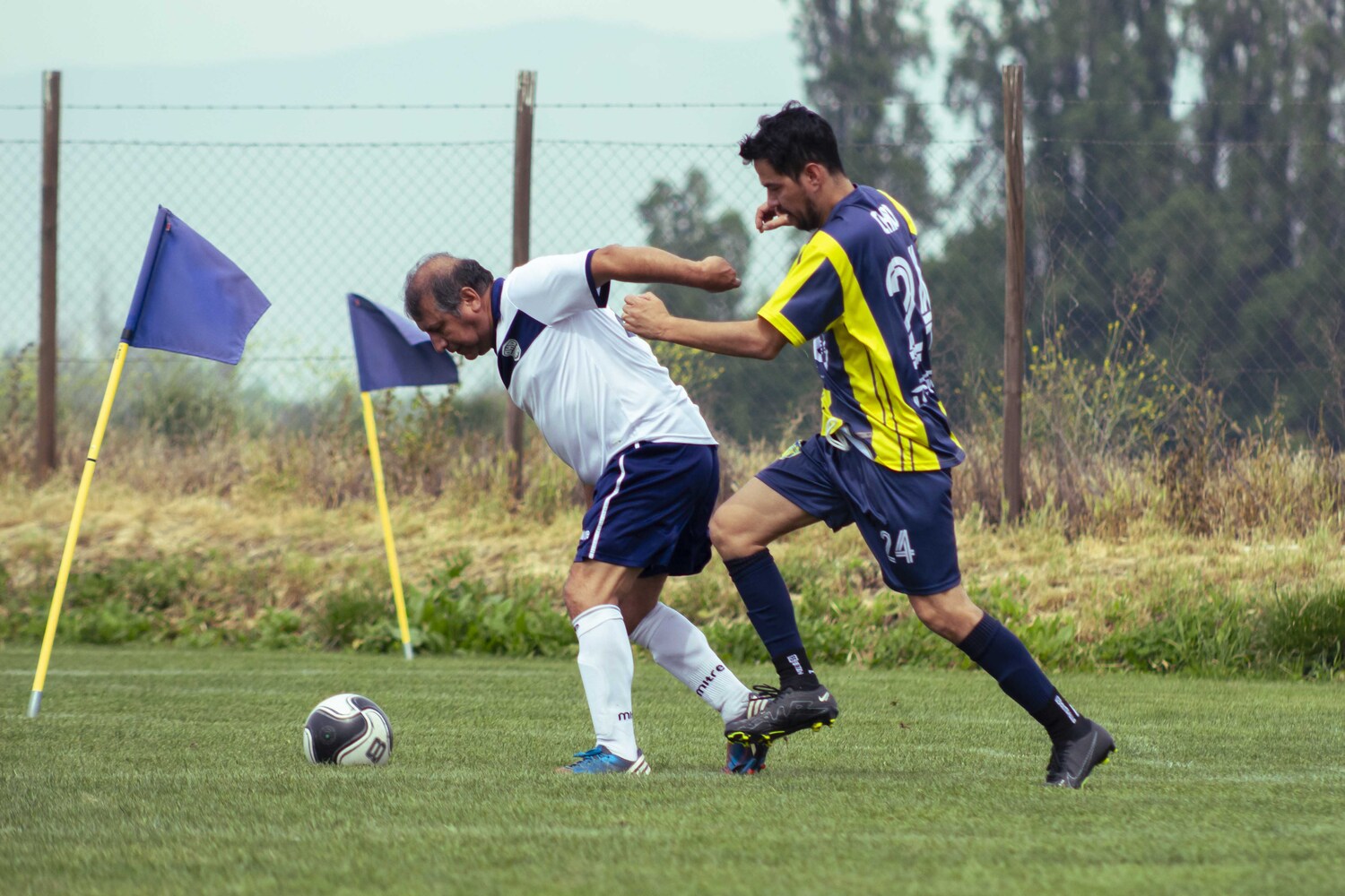 _MG_0883.jpg