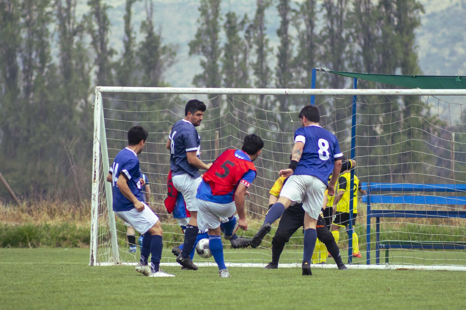 _MG_0932.jpg