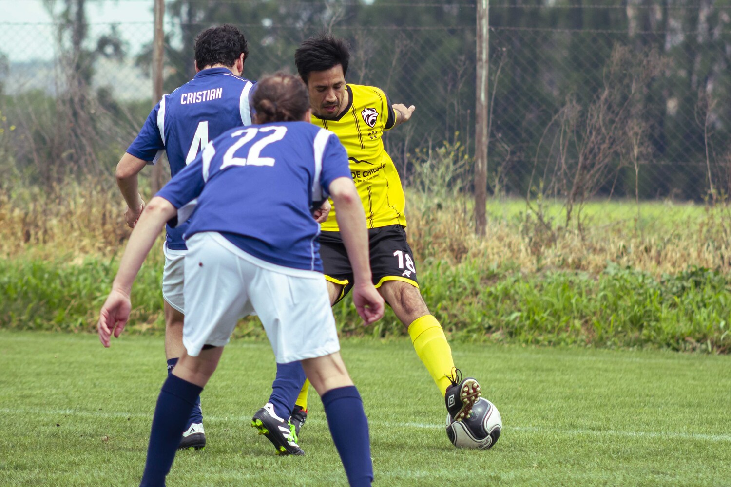 _MG_1004.jpg