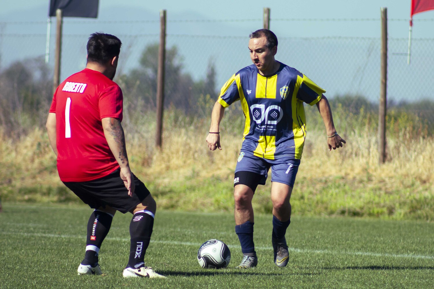 _MG_1041.jpg