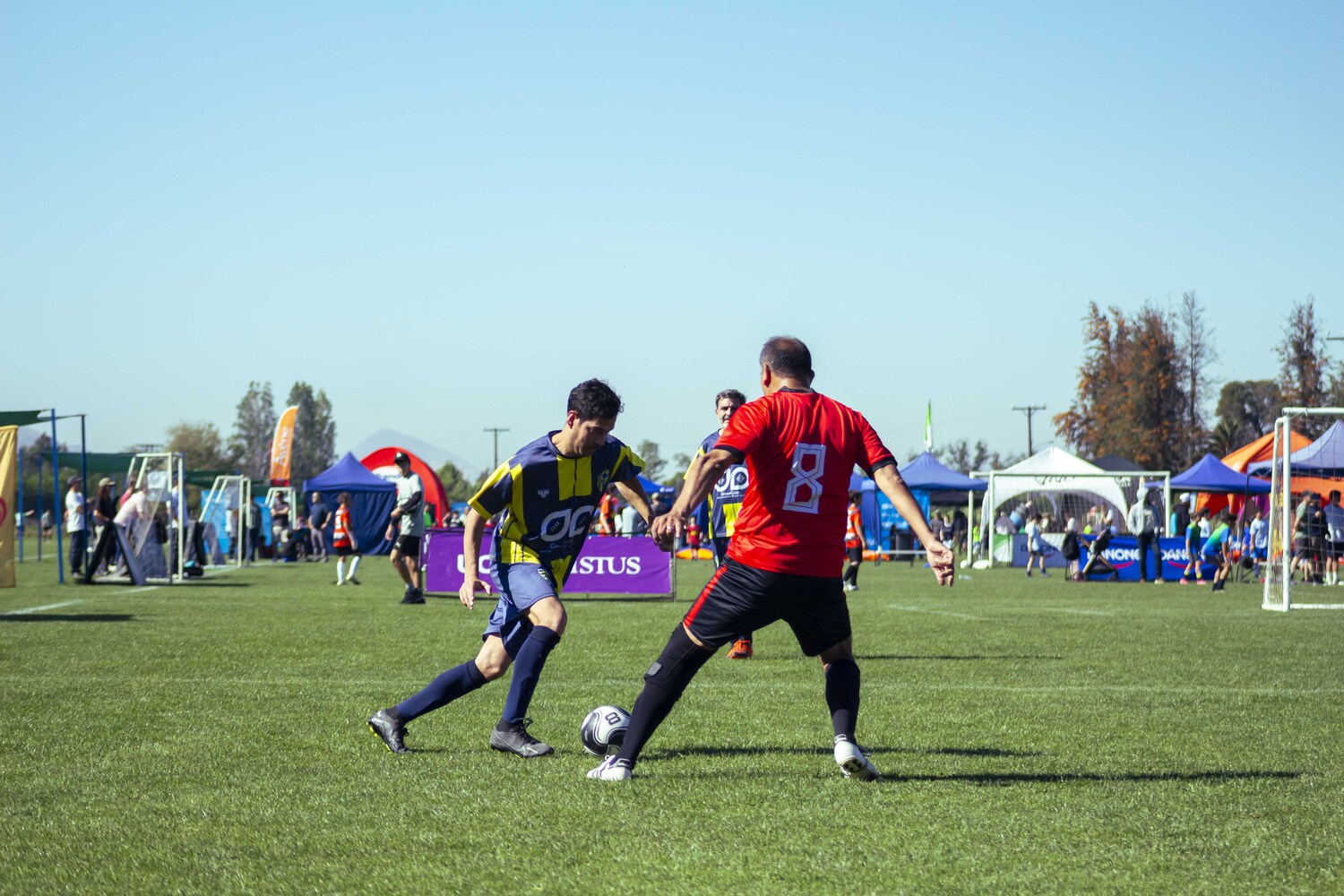 _MG_1043.jpg
