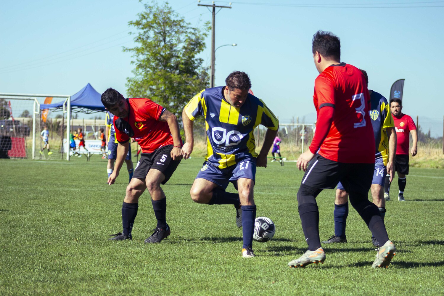 _MG_1046.jpg