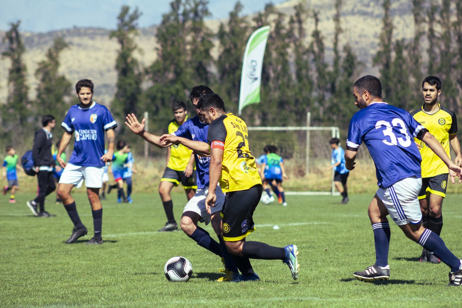 _MG_1086.jpg