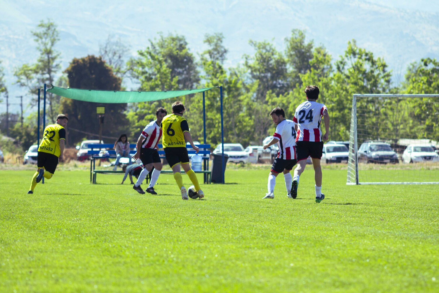 _MG_1104.jpg