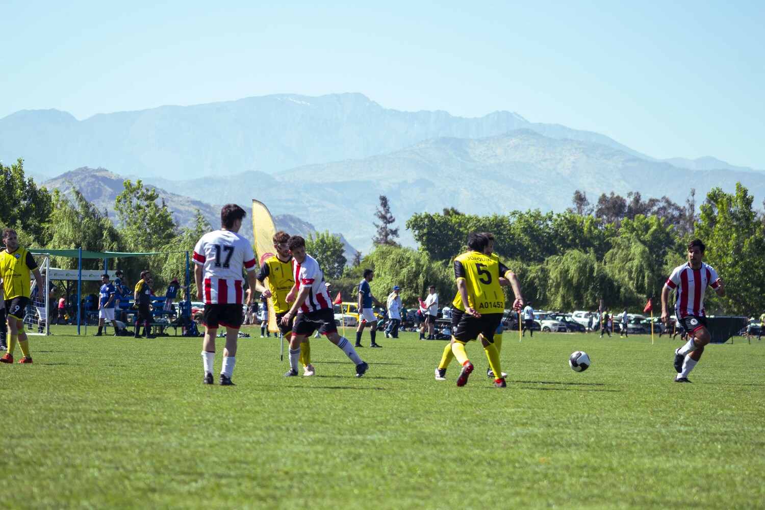 _MG_1114.jpg
